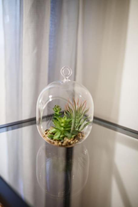 Cozy Apartement Thessaloníki Ngoại thất bức ảnh